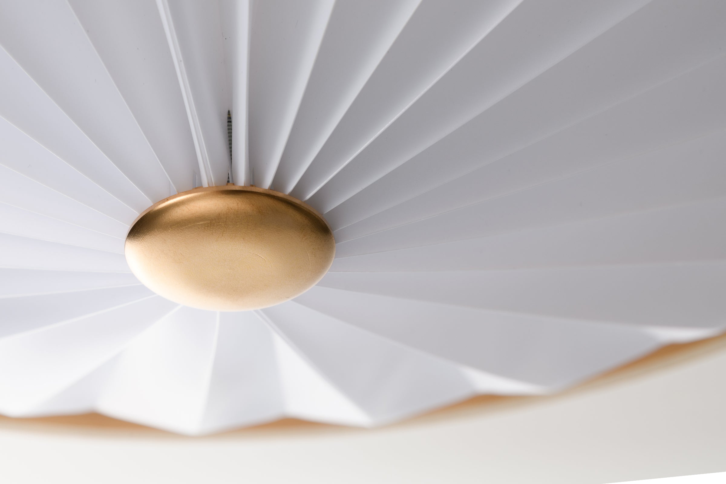 CEILING LIGHT SWAN ONLINE STORE