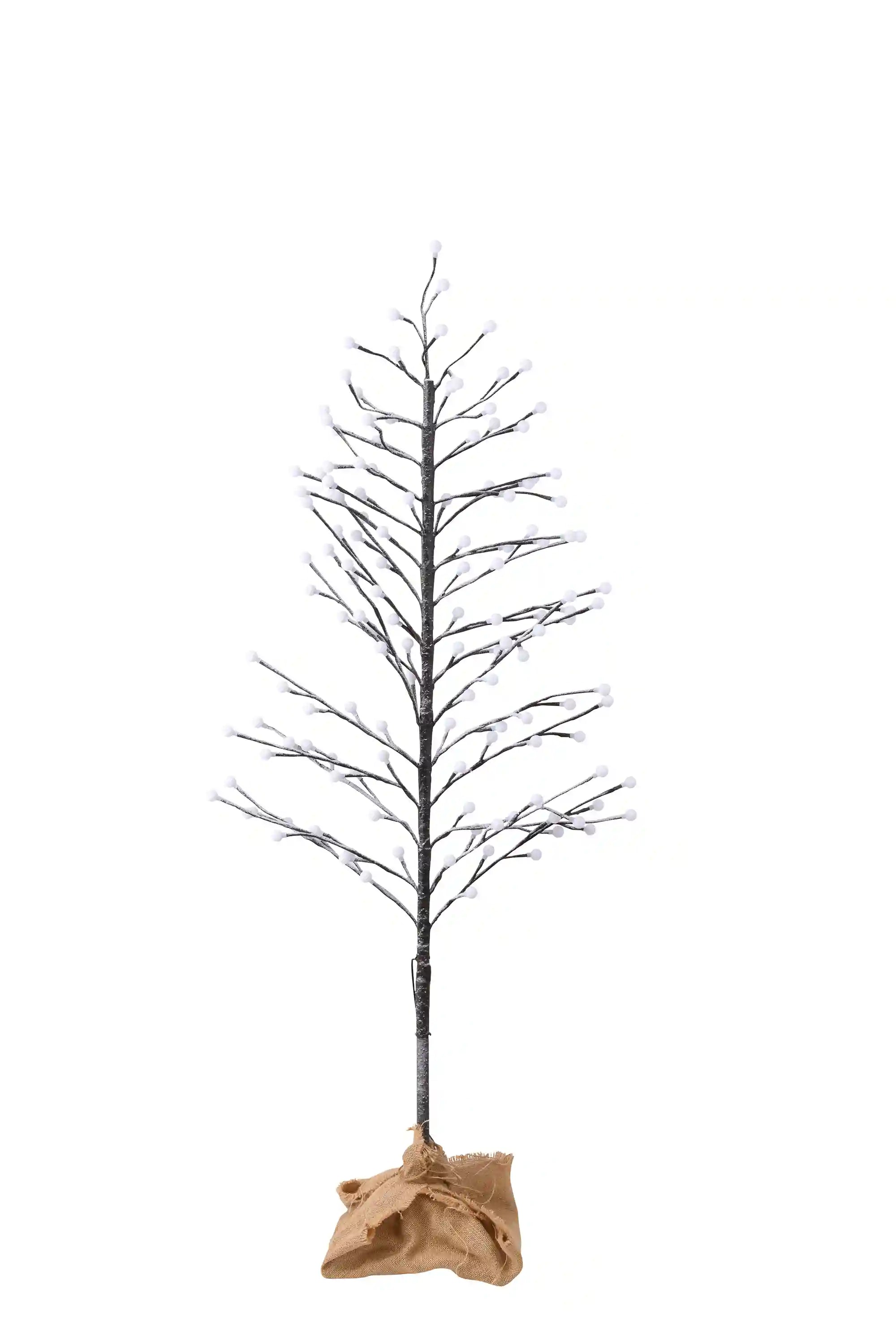 BOTANIC BRANTREE PON SNOW