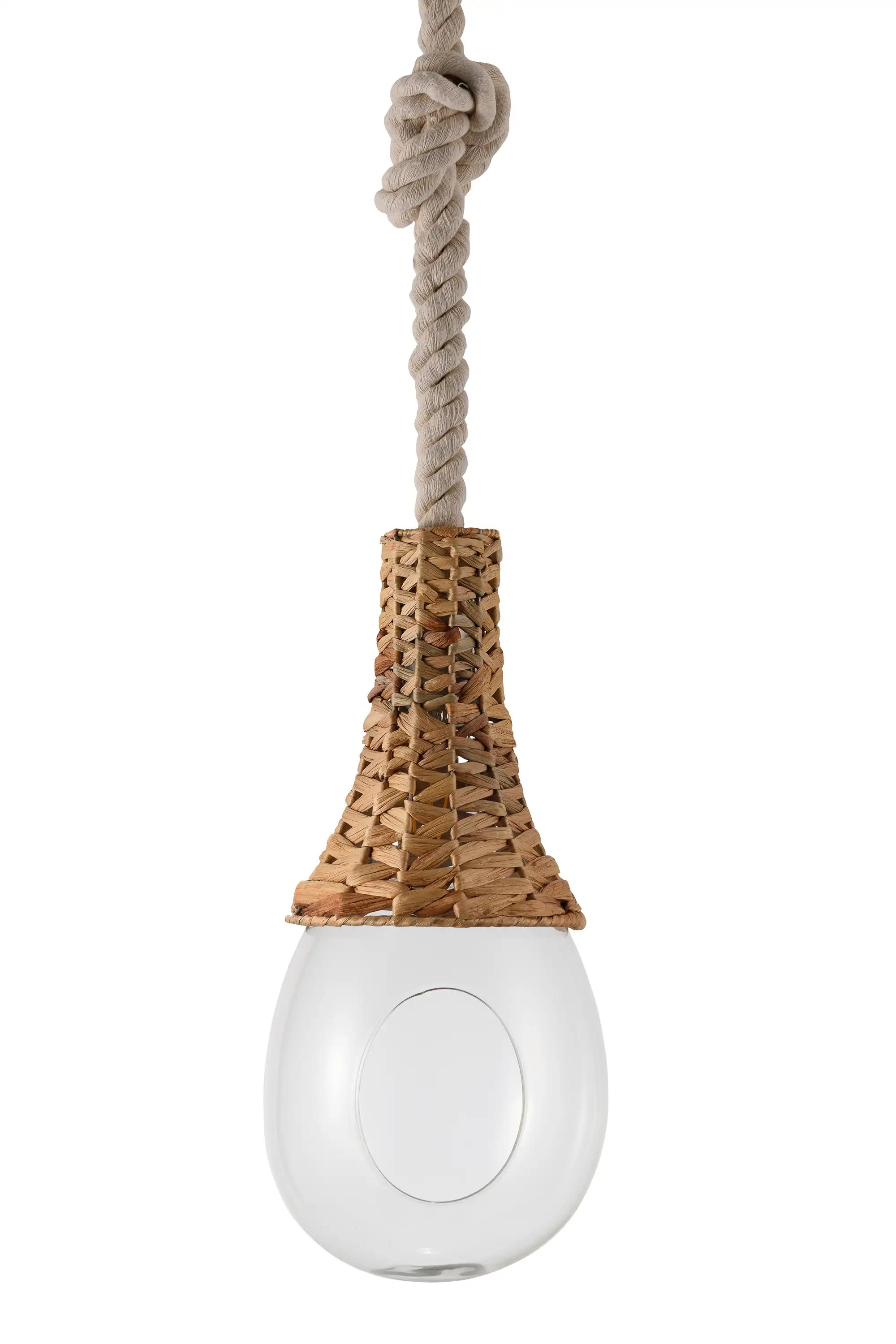 BOTANIC HANGING BASKET LIGHT