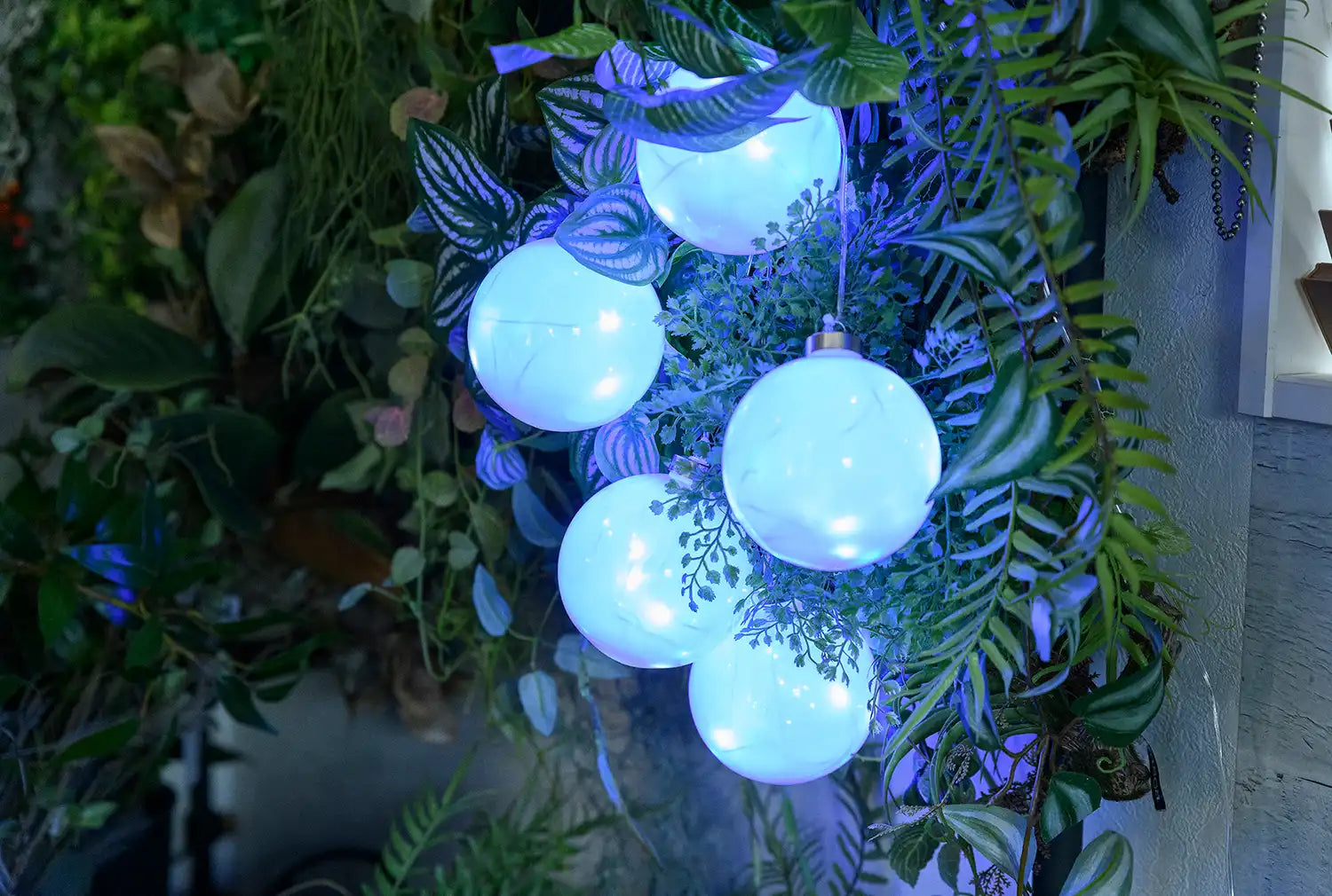 BOTANIC AMAZING BALL LIGHT COOL