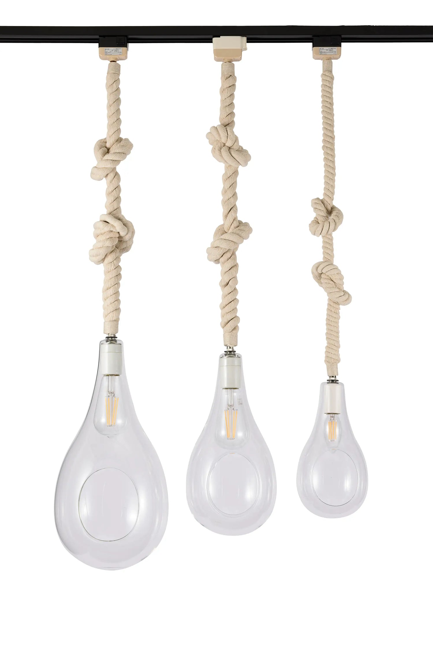 BOTANIC HANGING LIGHT