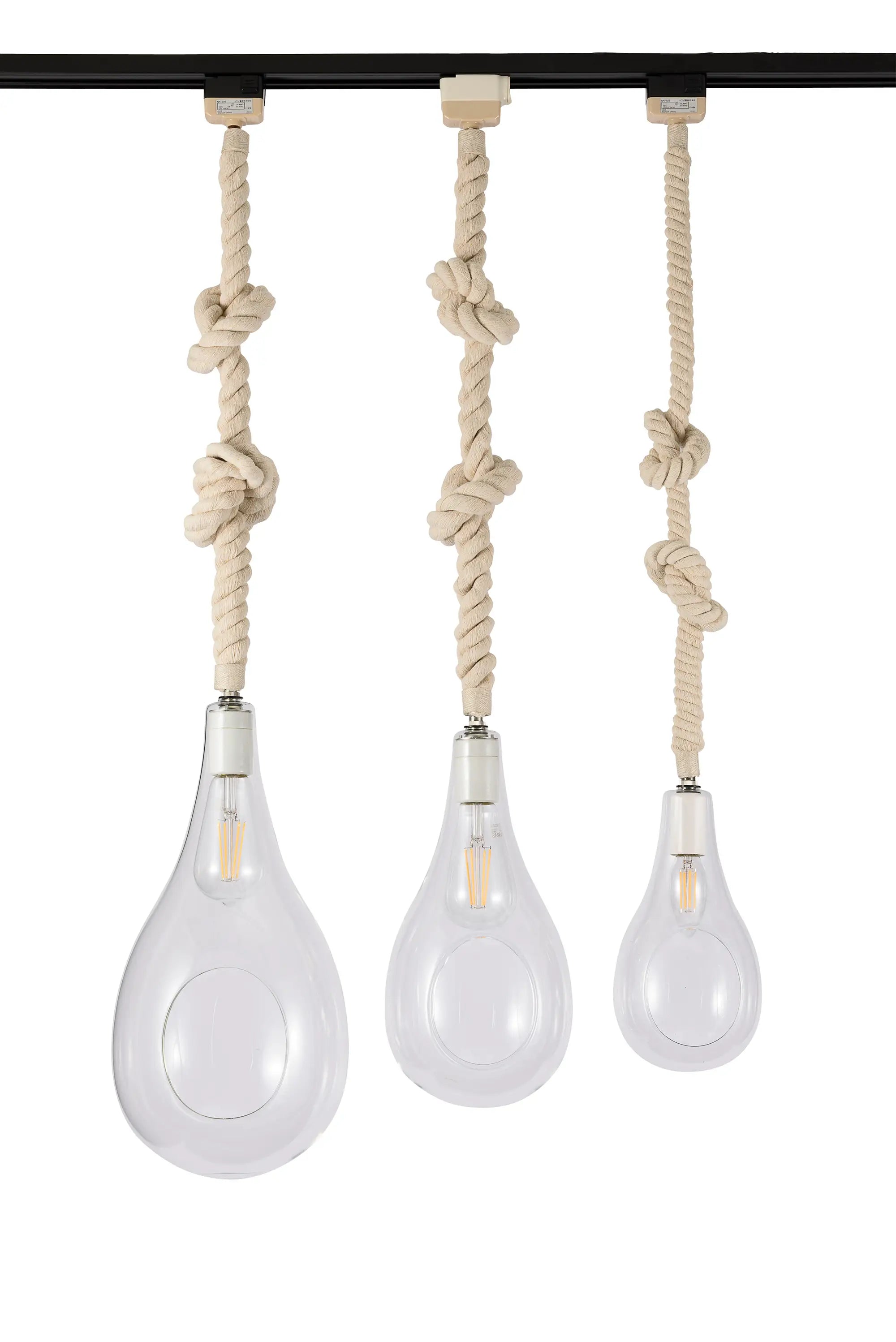 BOTANIC HANGING LIGHT
