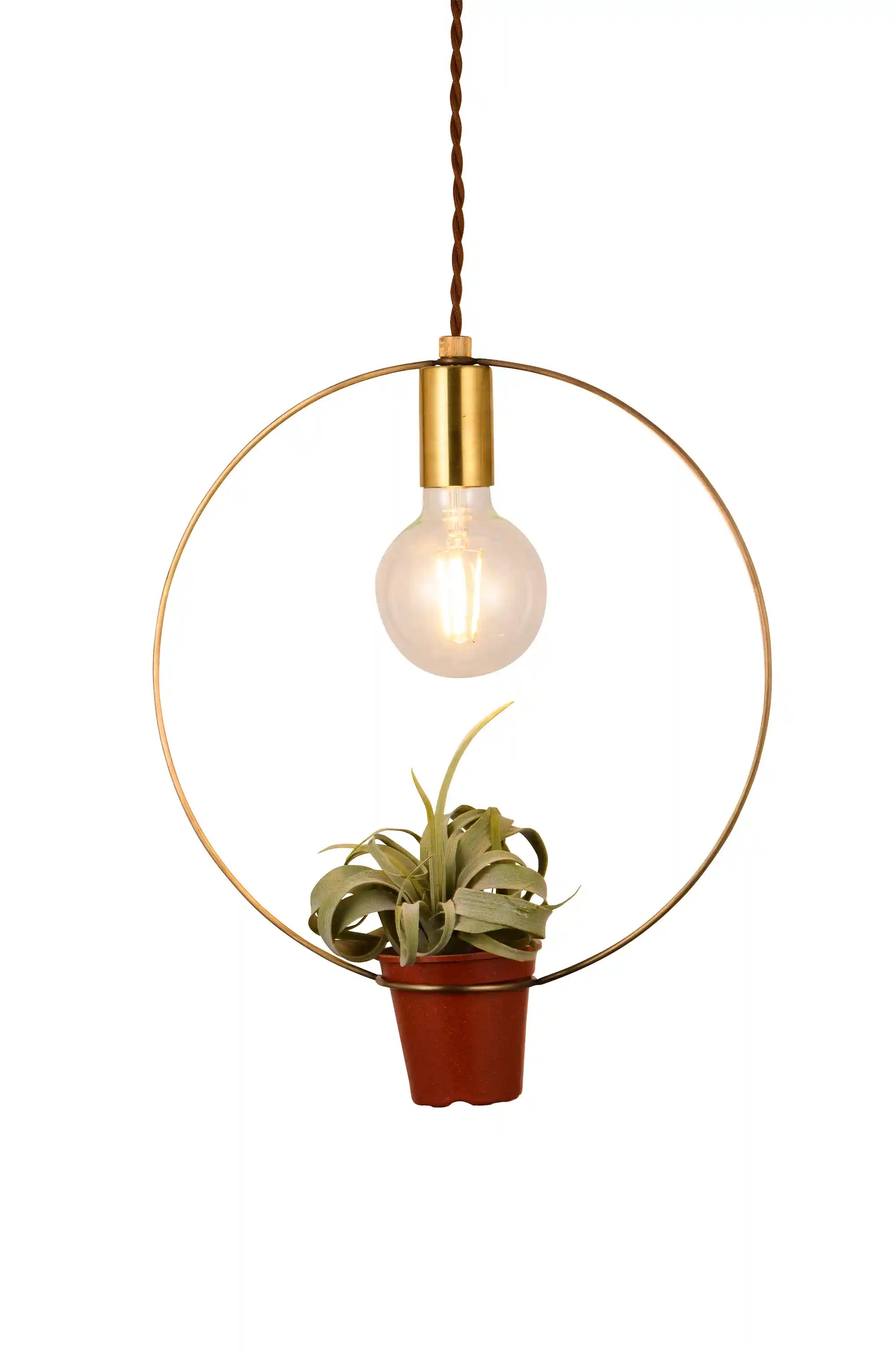 BOTANIC HANGING WIRERING LIGHT