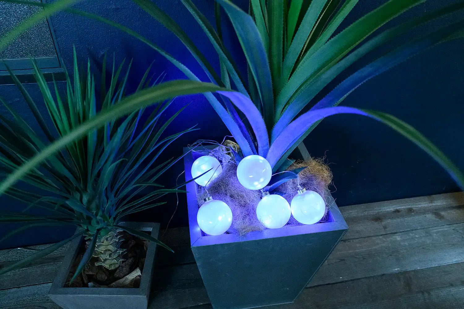 BOTANIC AMAZING BALL LIGHT COOL