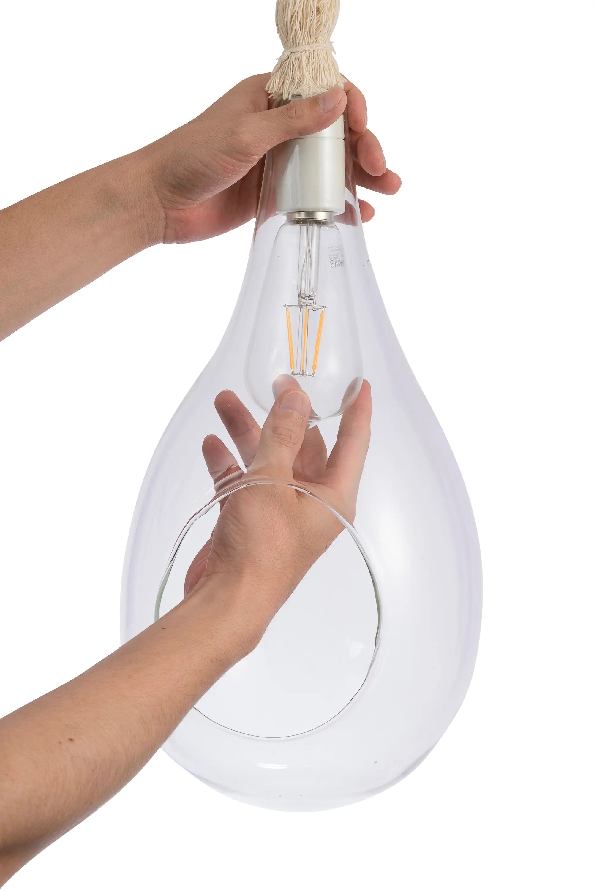 BOTANIC HANGING LIGHT