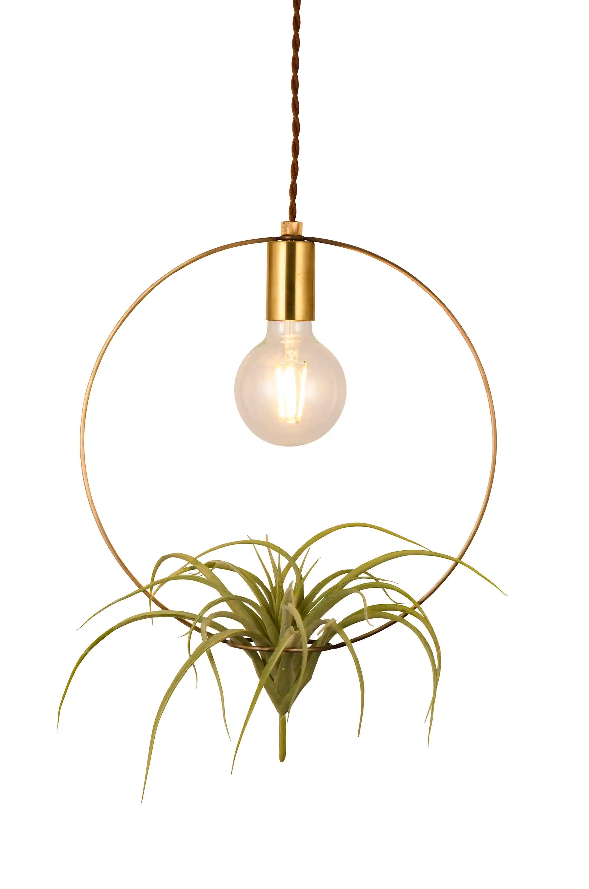 BOTANIC HANGING WIRERING LIGHT