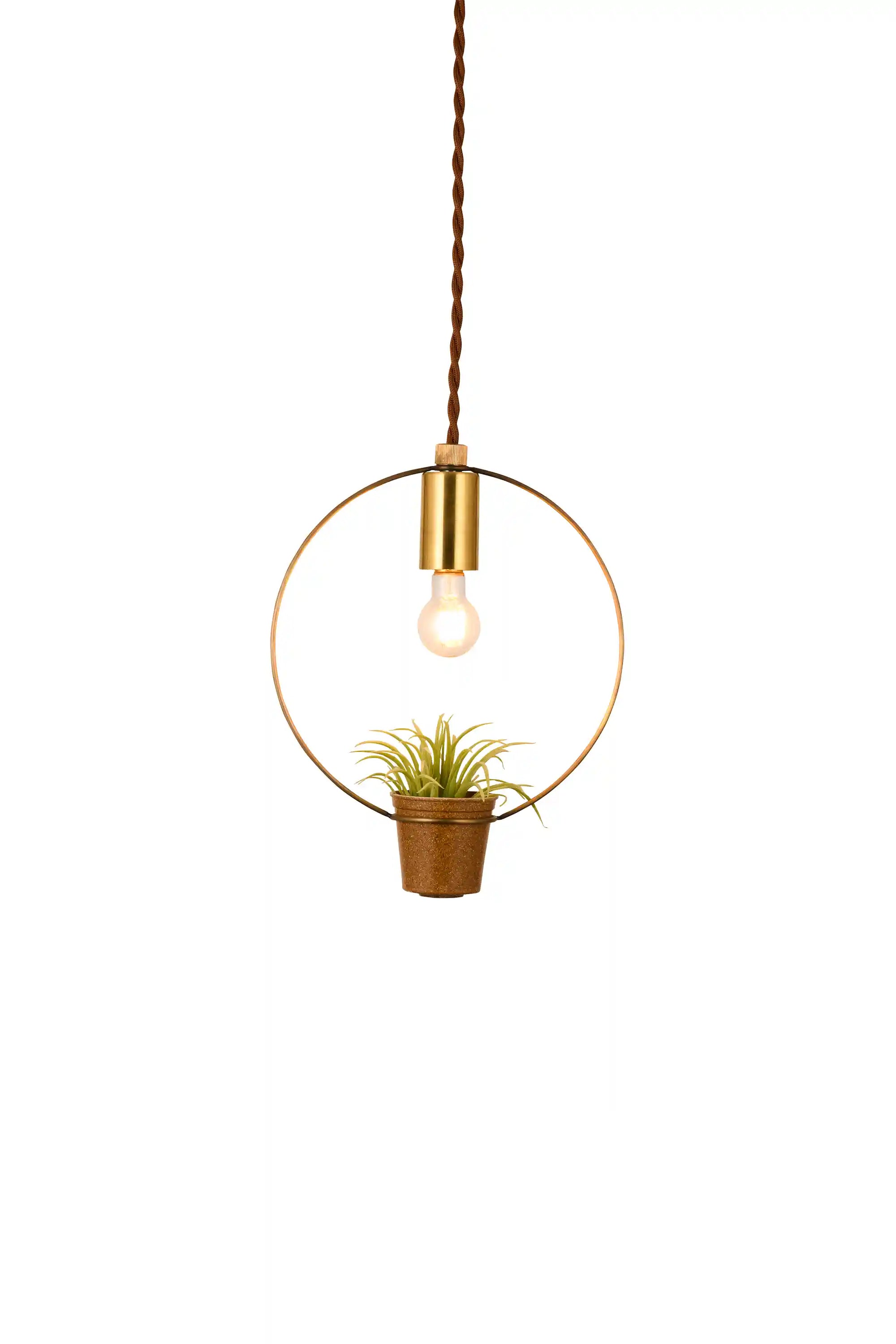 BOTANIC HANGING WIRERING LIGHT