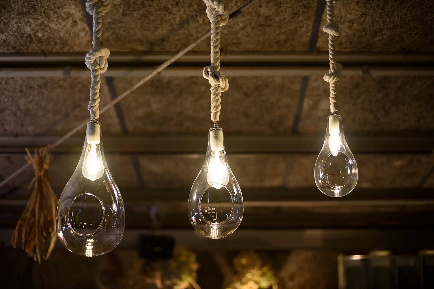 BOTANIC HANGING LIGHT