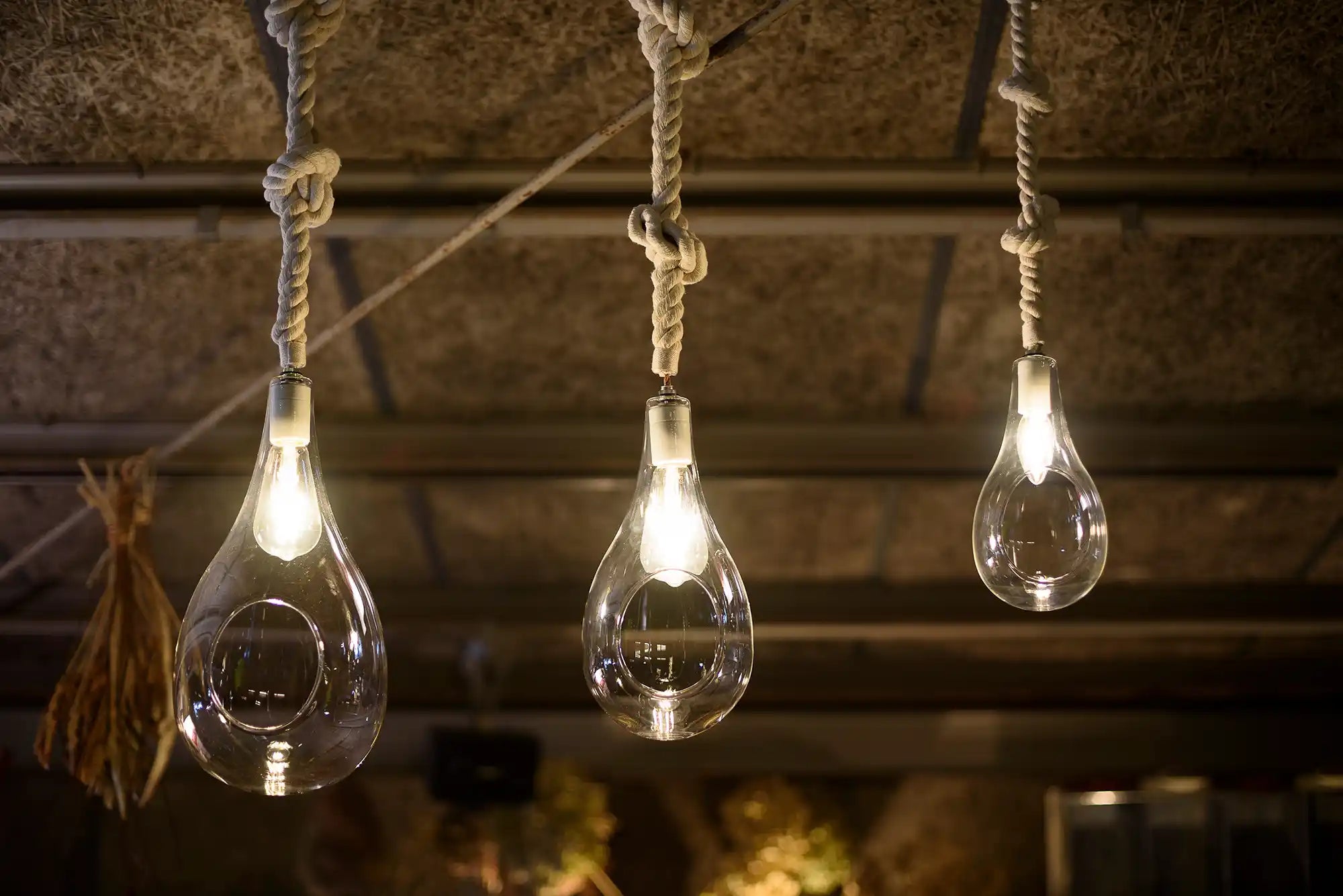BOTANIC HANGING LIGHT