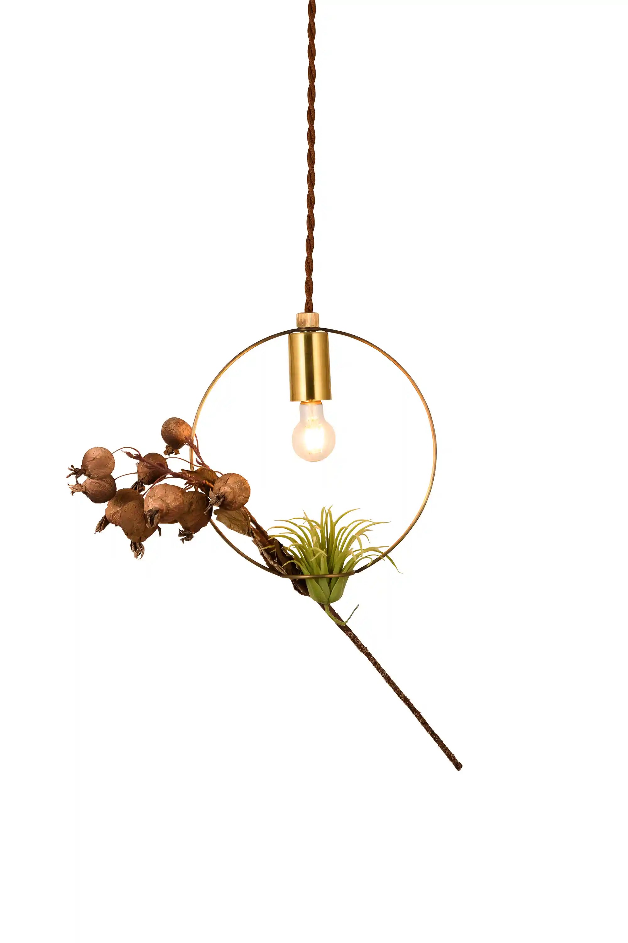 BOTANIC HANGING WIRERING LIGHT