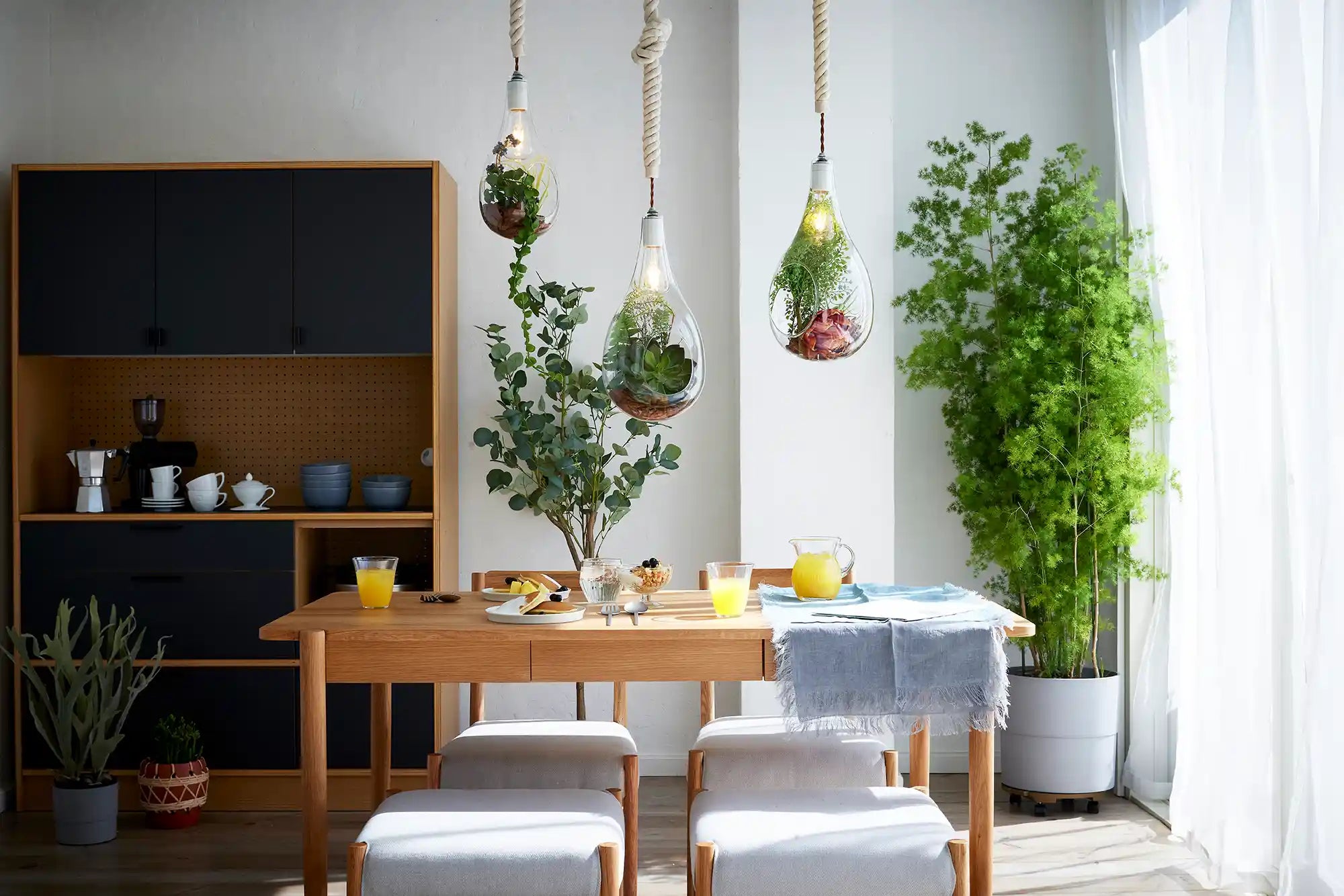 BOTANIC HANGING LIGHT