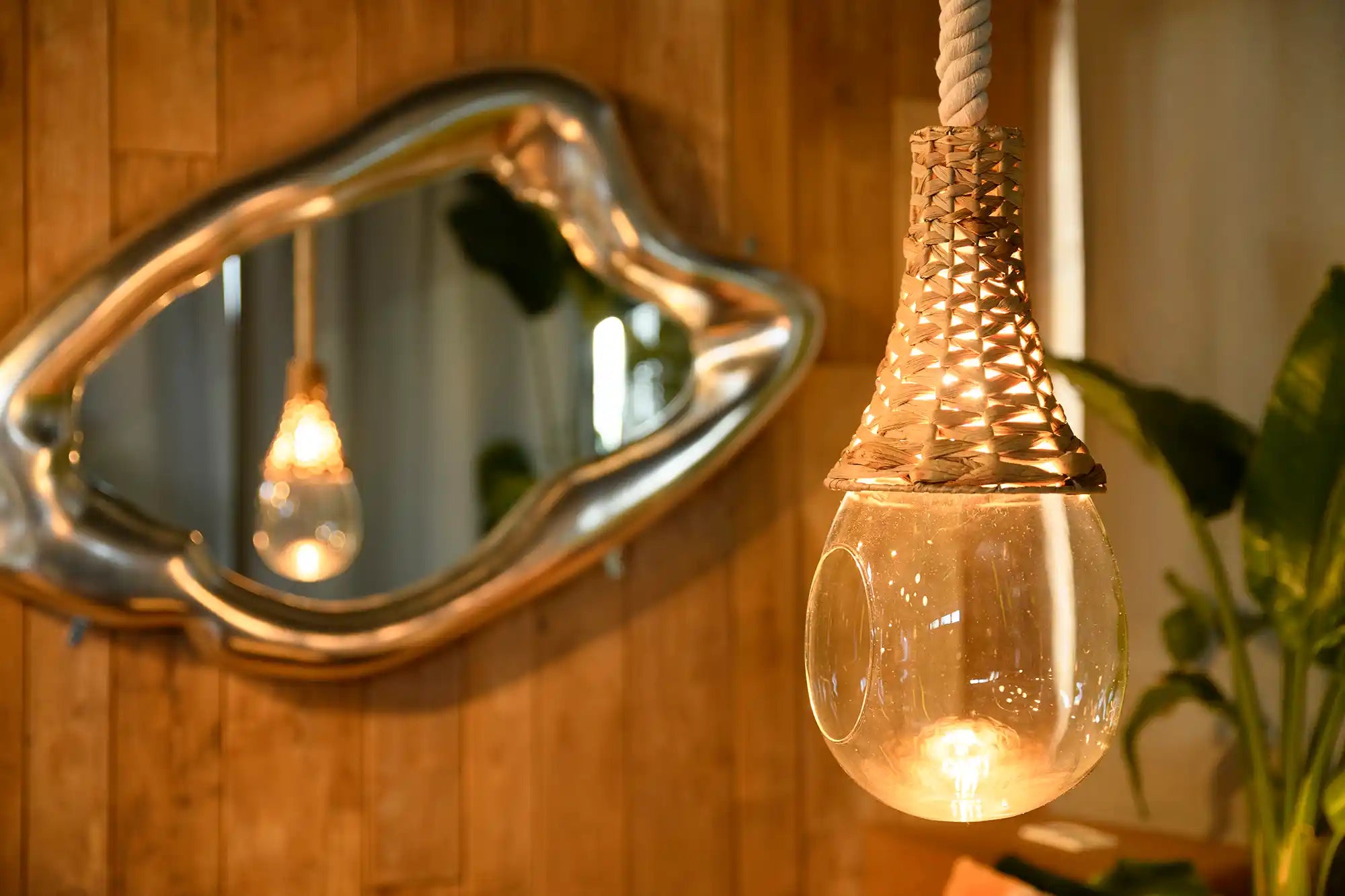 BOTANIC HANGING BASKET LIGHT