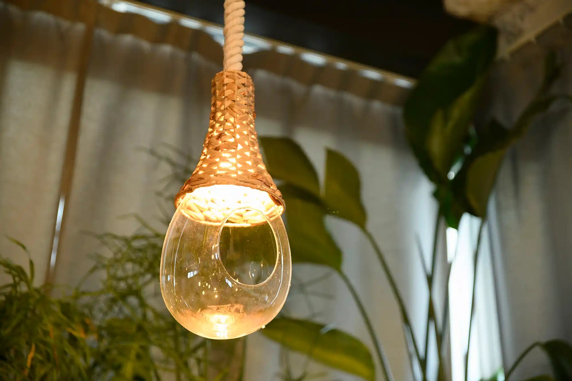 BOTANIC HANGING BASKET LIGHT
