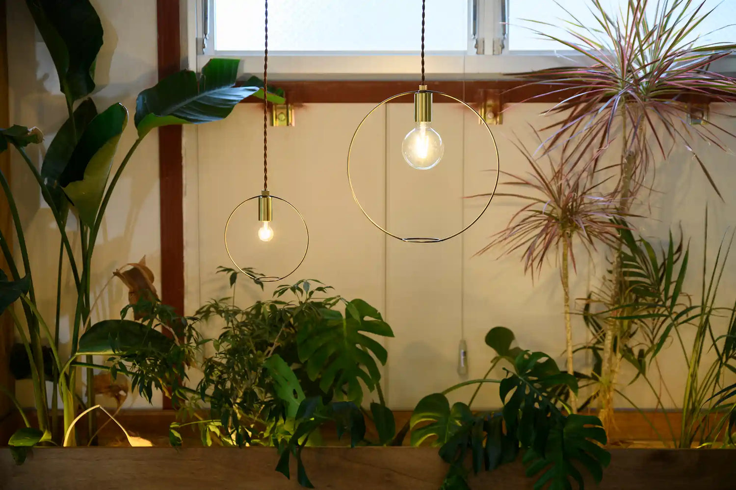BOTANIC HANGING WIRERING LIGHT