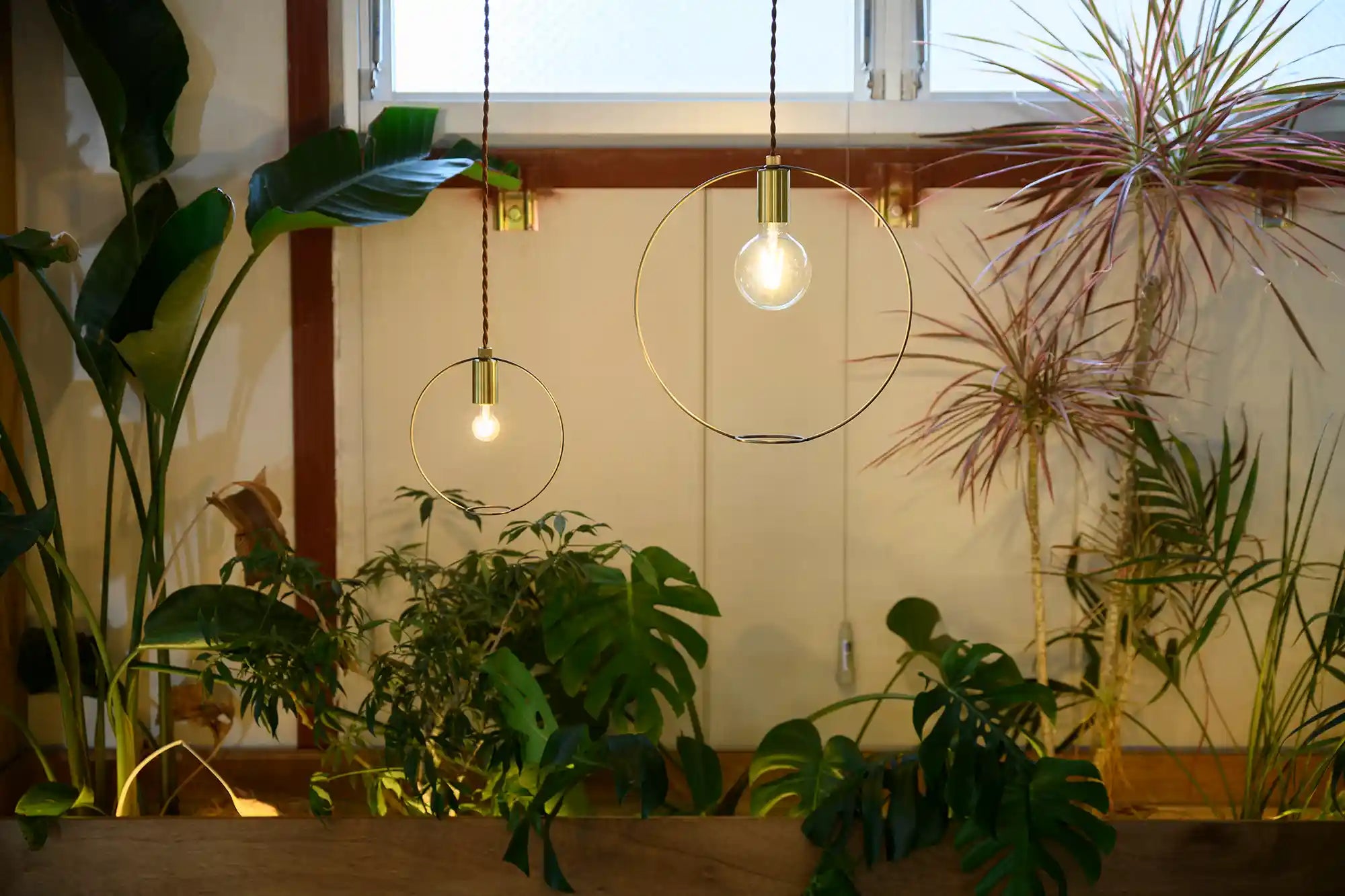 BOTANIC HANGING WIRERING LIGHT