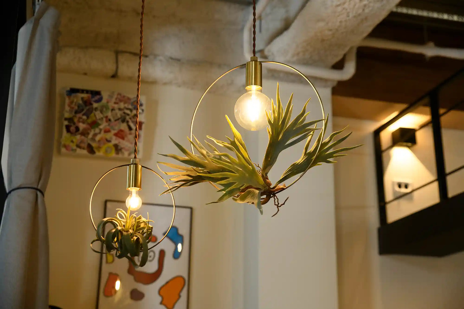 BOTANIC HANGING WIRERING LIGHT