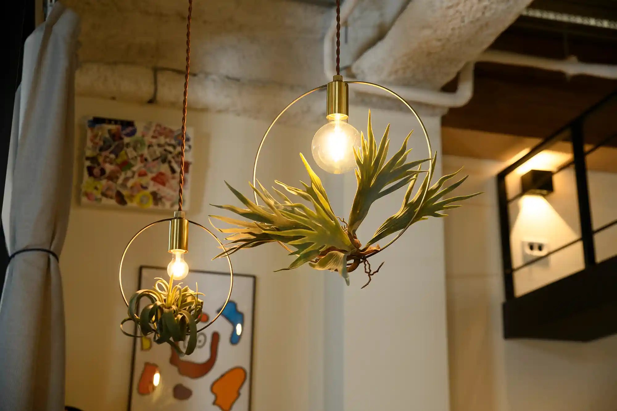 BOTANIC HANGING WIRERING LIGHT