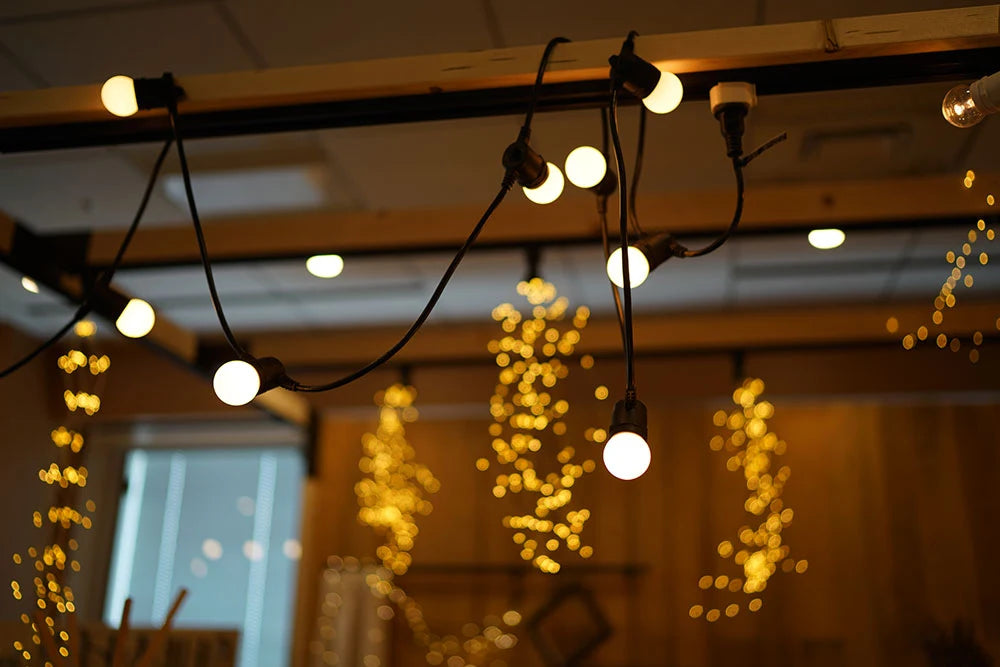 LED STRING LIGHT 12BULB×5M