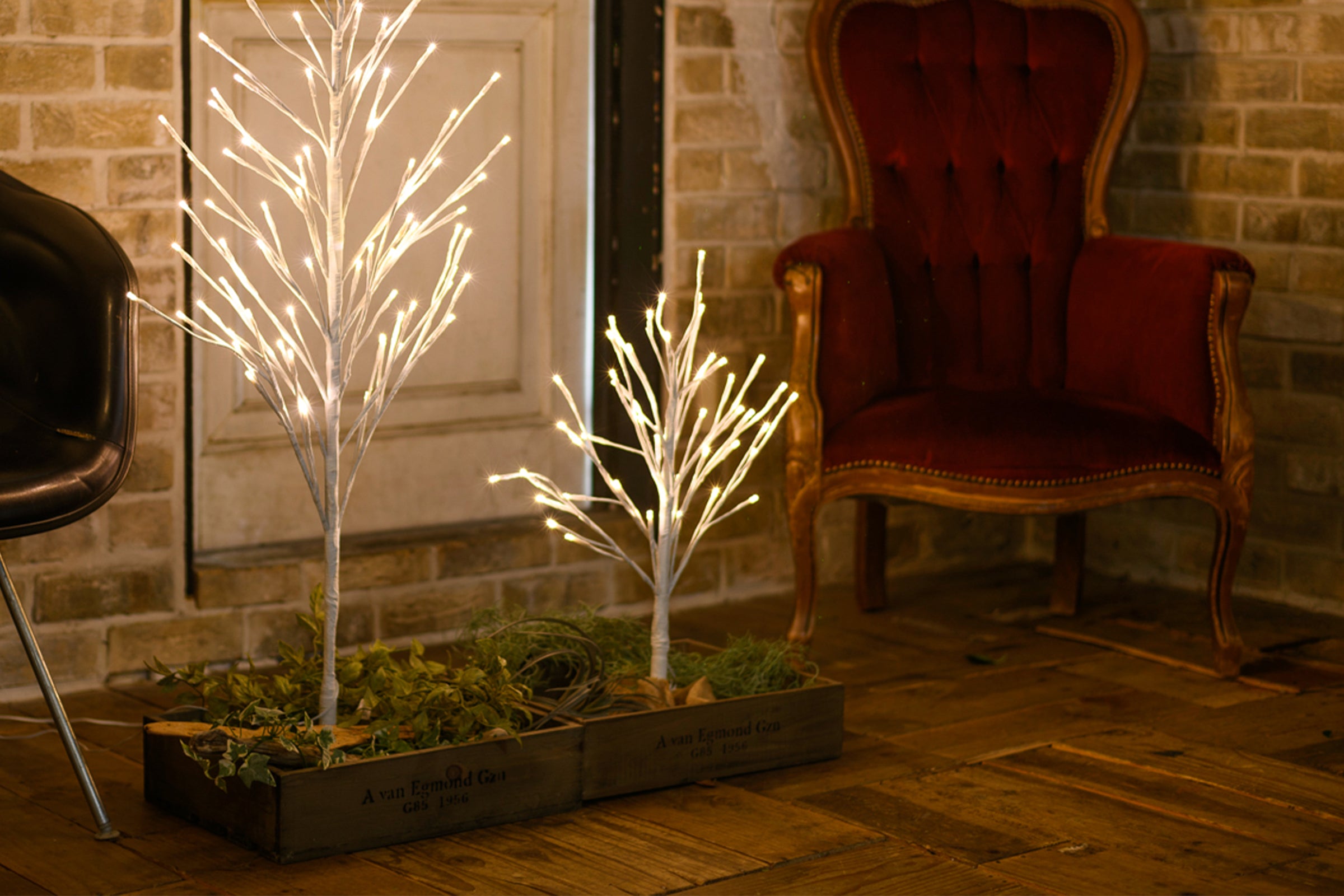 BOTANIC BRANTREE
