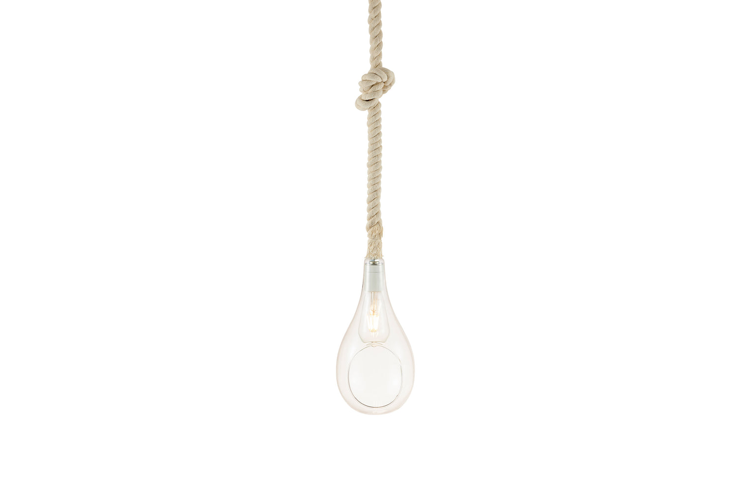 BOTANIC HANGING LIGHT