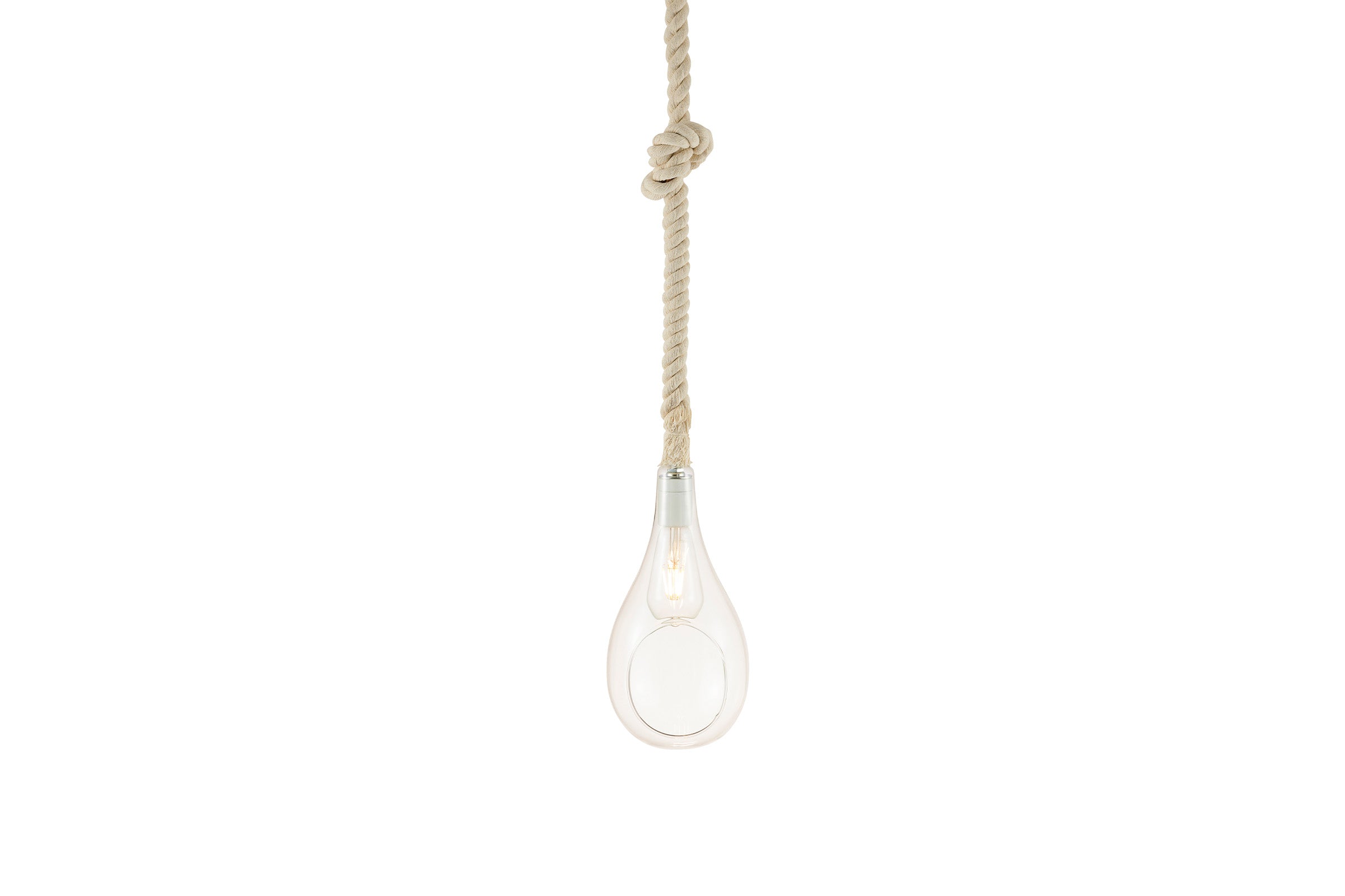 BOTANIC HANGING LIGHT