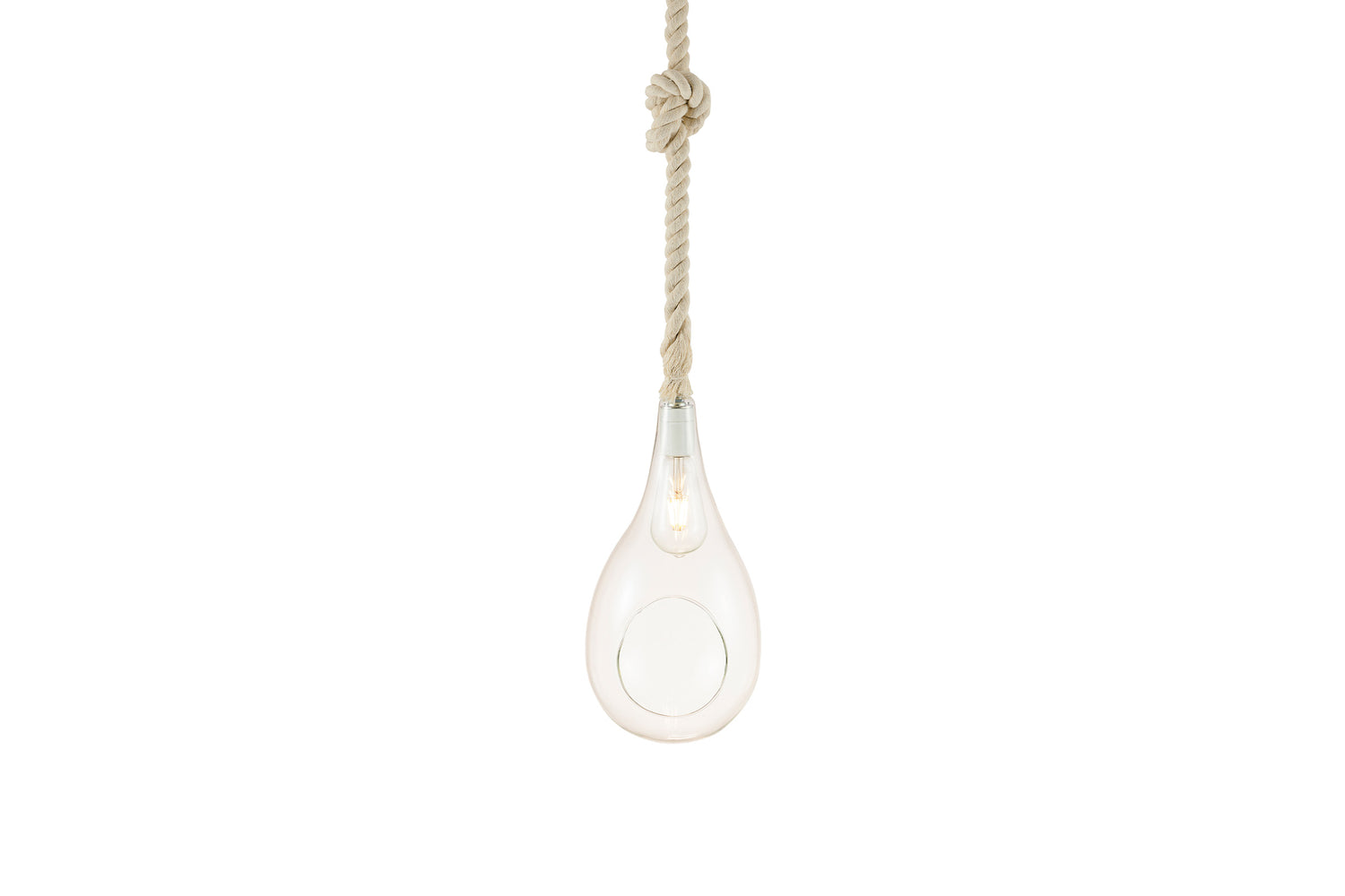 BOTANIC HANGING LIGHT