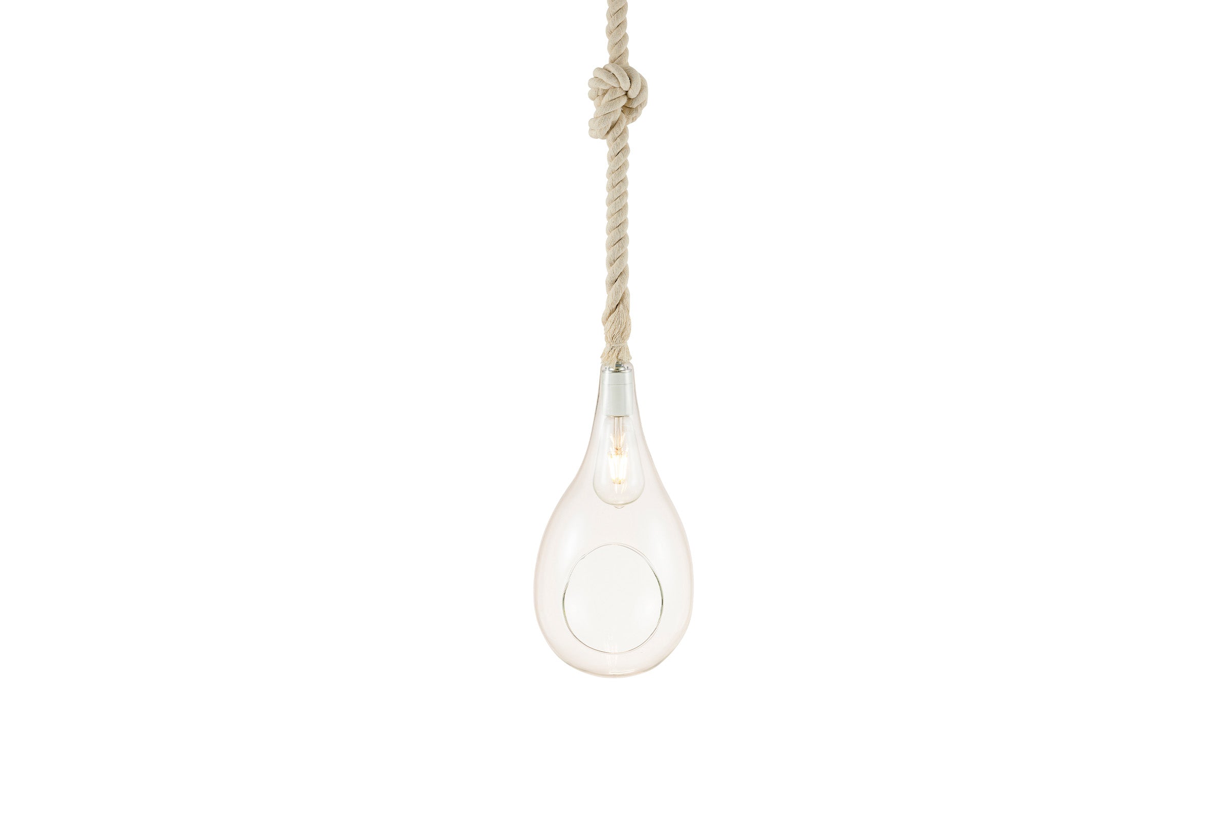 BOTANIC HANGING LIGHT