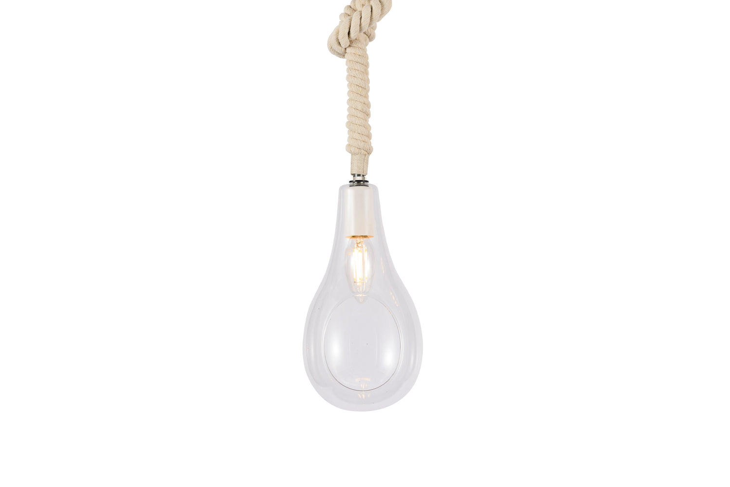 BOTANIC HANGING LIGHT