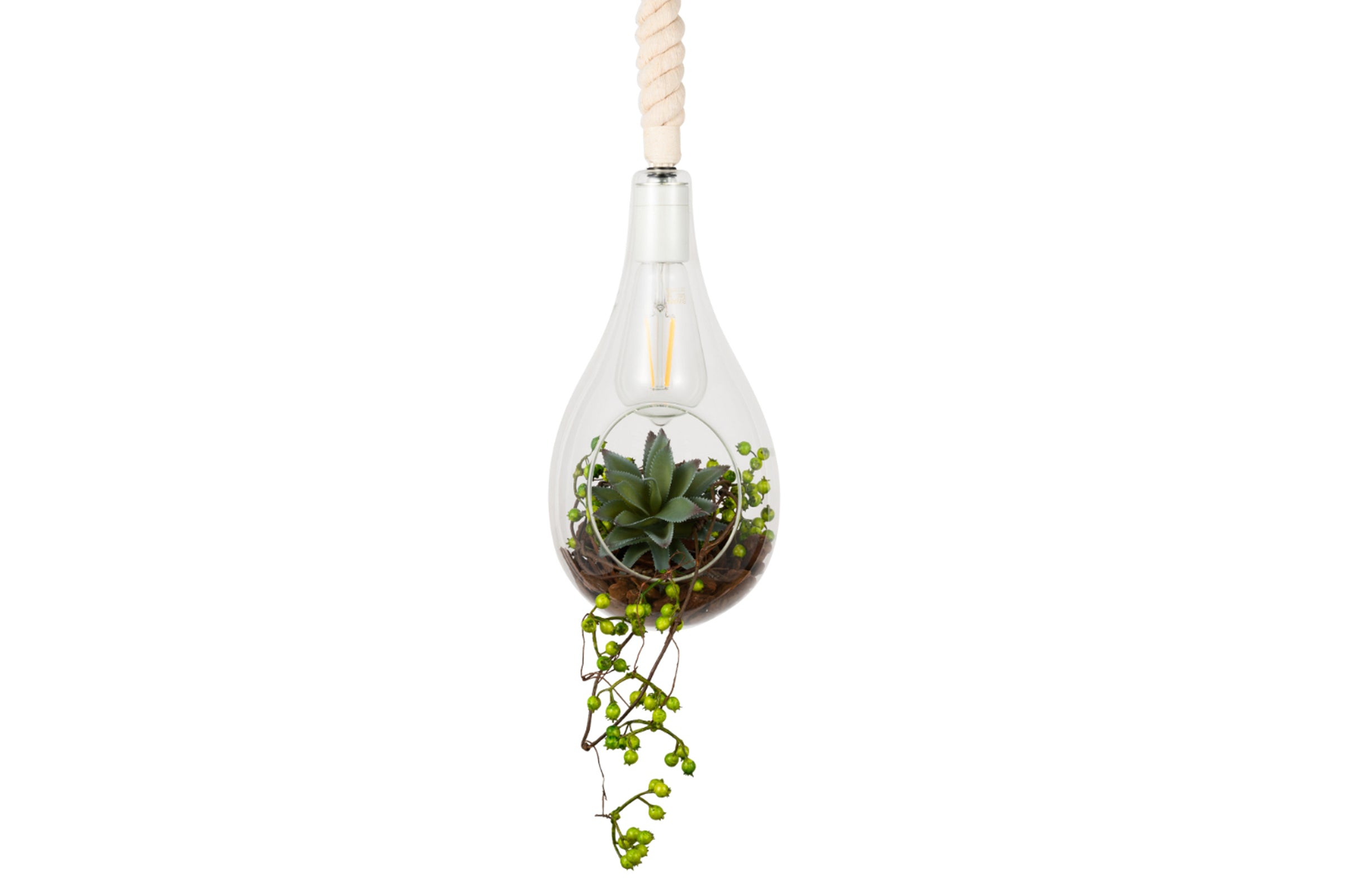 BOTANIC HANGING LIGHT with FAKEGREEN