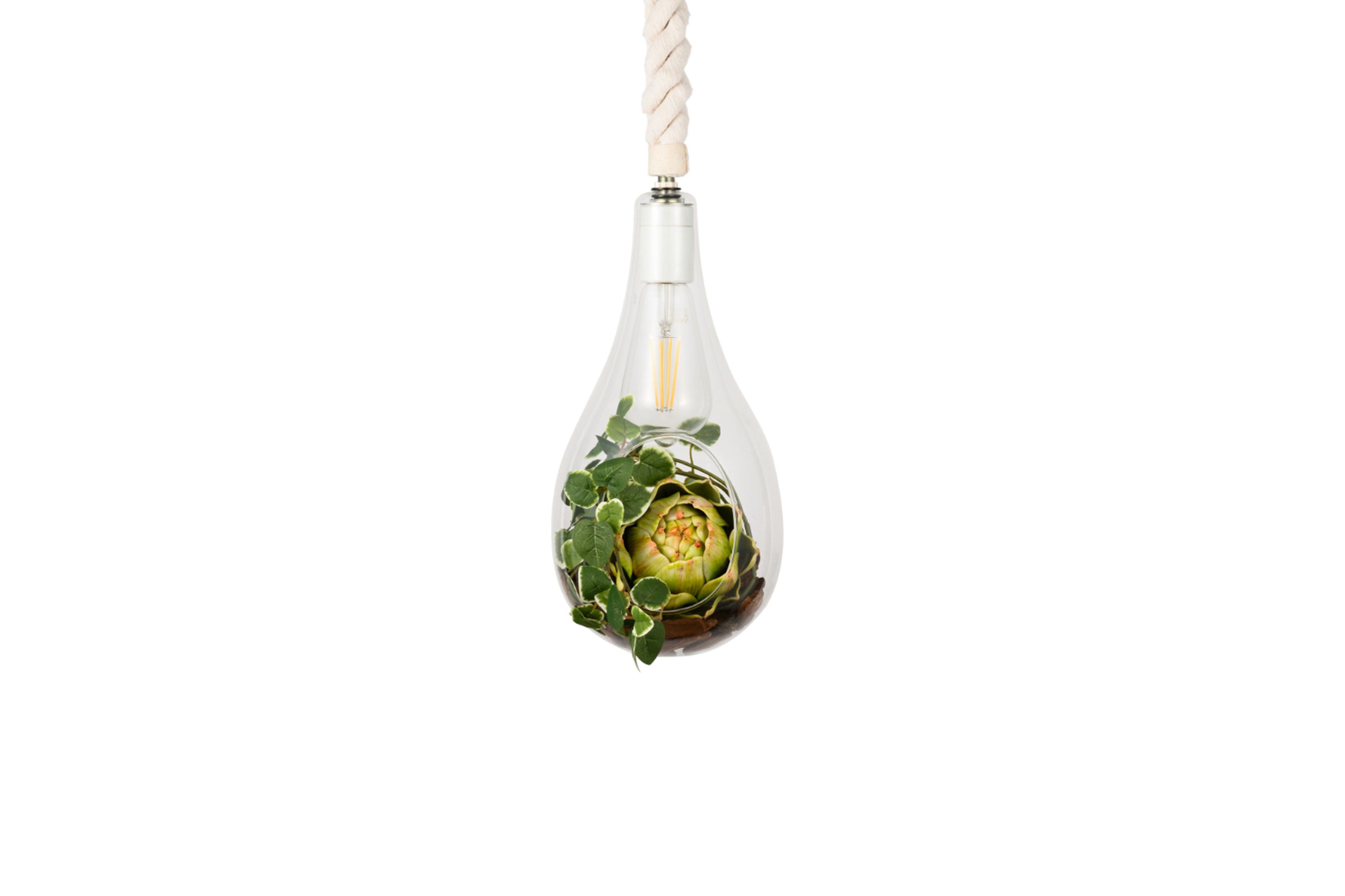 BOTANIC HANGING LIGHT with FAKEGREEN
