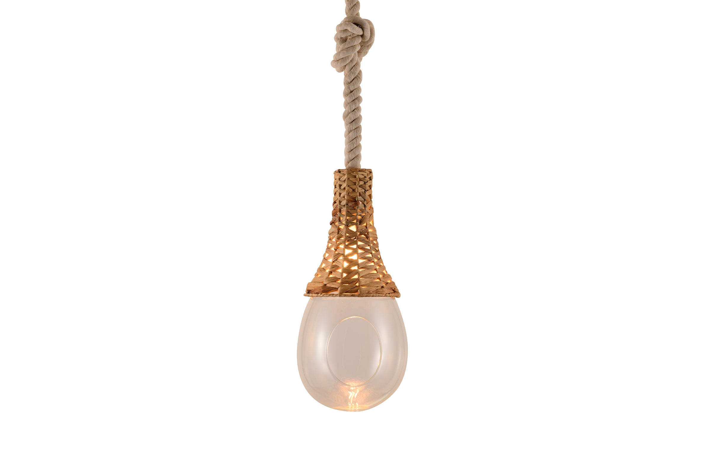 BOTANIC HANGING BASKET LIGHT