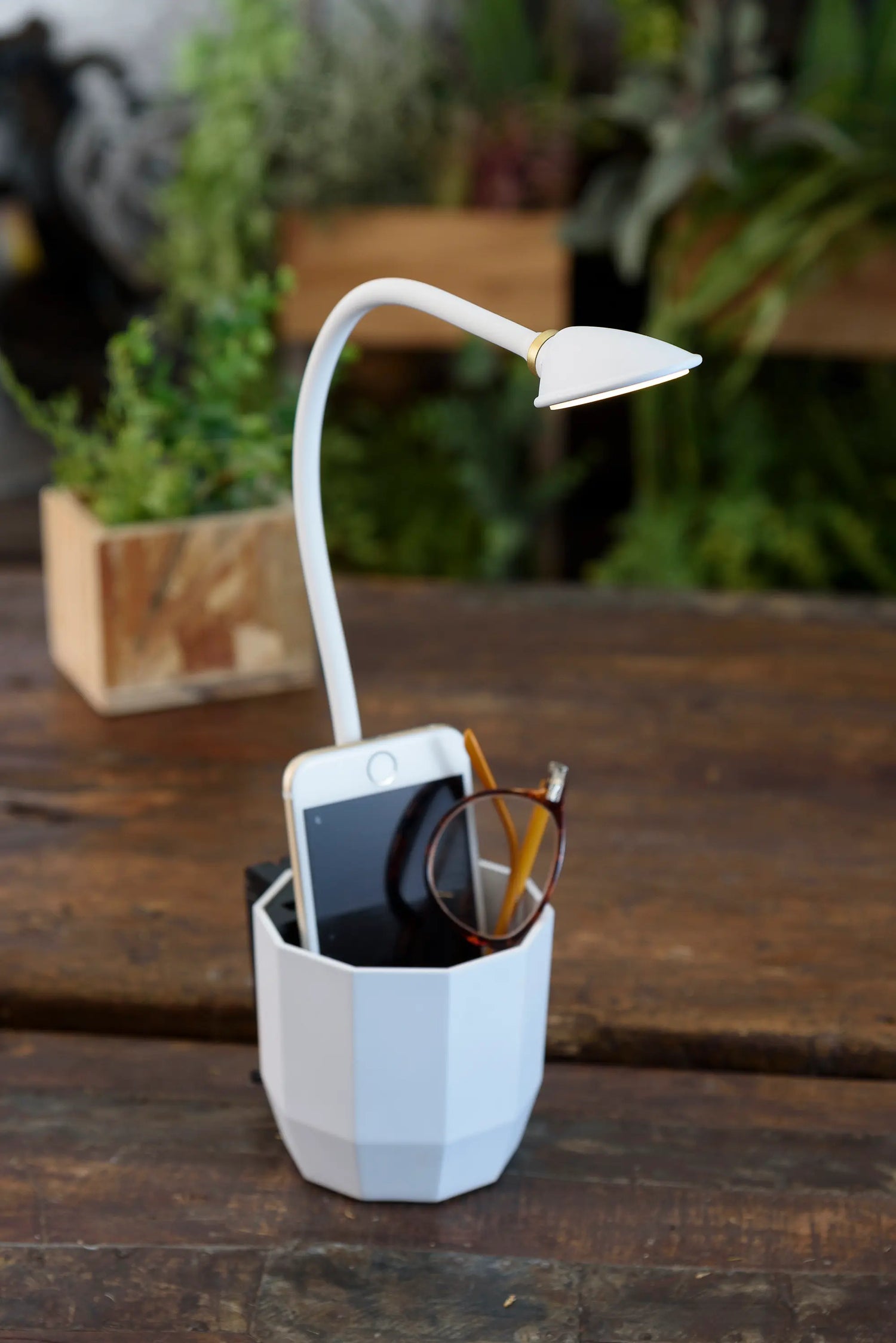 PETIT EXARM USB MUGCUP LIGHT MU