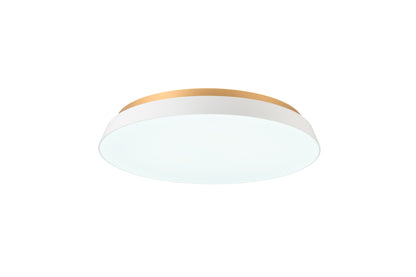 TAIRA CEILING LIGHT