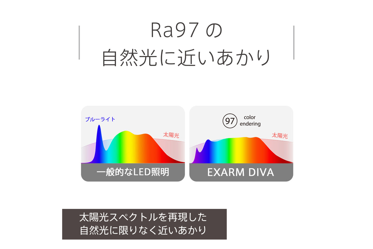 LEDIC EXARM DIVA – SWAN ONLINE STORE