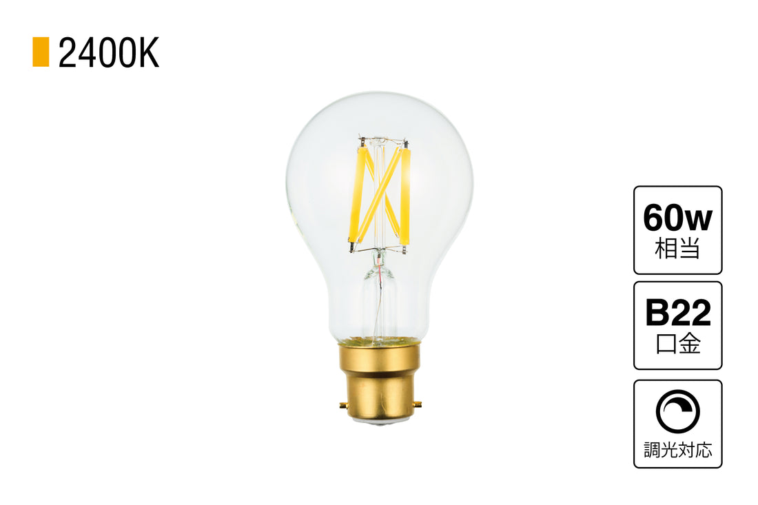 LED SWAN BULB 2400 EDISWAN DC24V